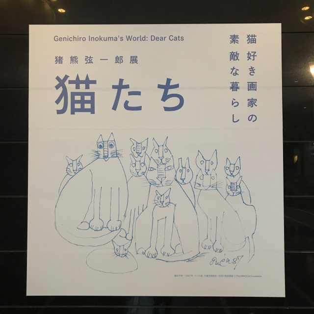 猫たち