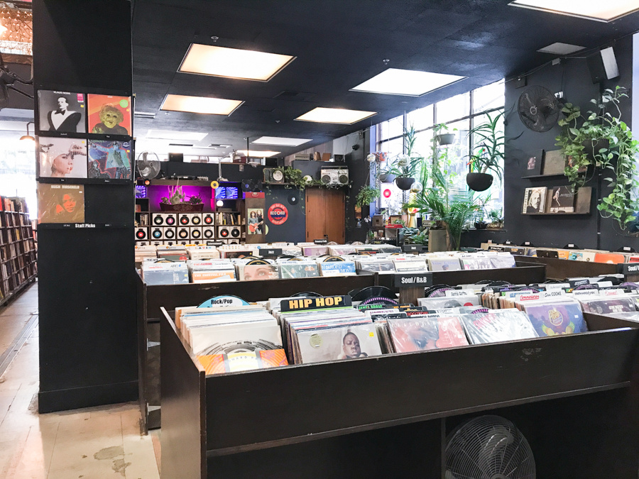 ここは通うわ!「世界の美しい本屋20選」のひとつは、カオスに満ちたアミューズメント空間。