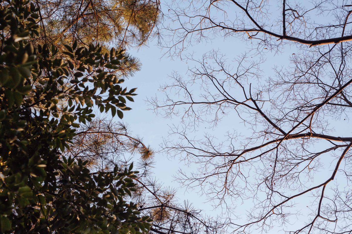 原映像攝影工作室 / Stay Weird Photography