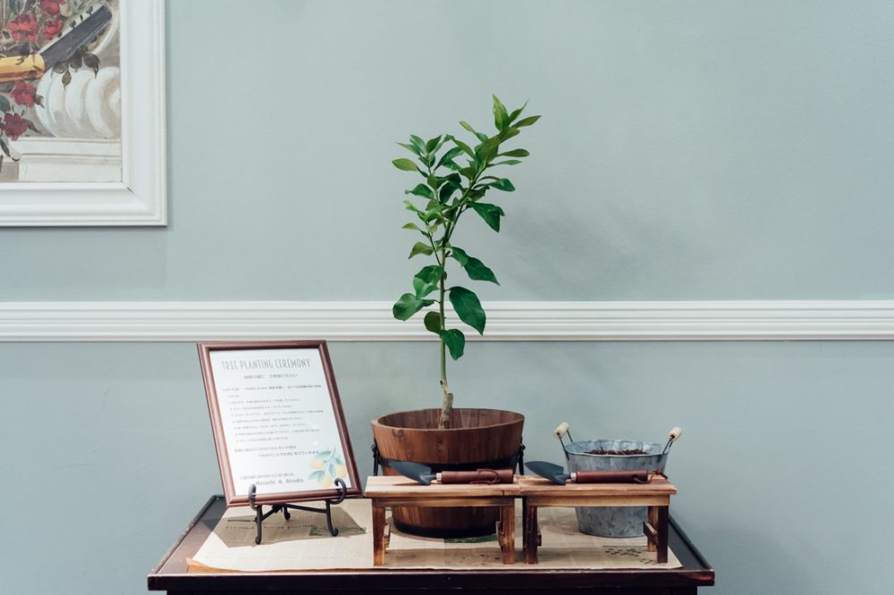 GalleryImage1