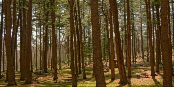 新求人/公開の求人・変形労働時間制/対象期間が一年単位_g