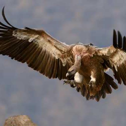 新求人/公開の求人・年齢制限・キャリア形成_g