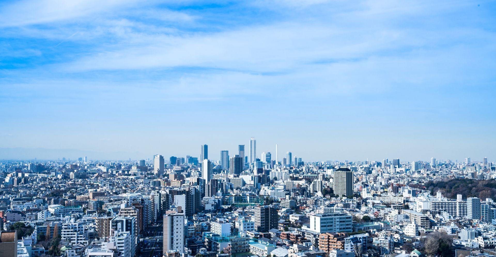 企業のメイン画像