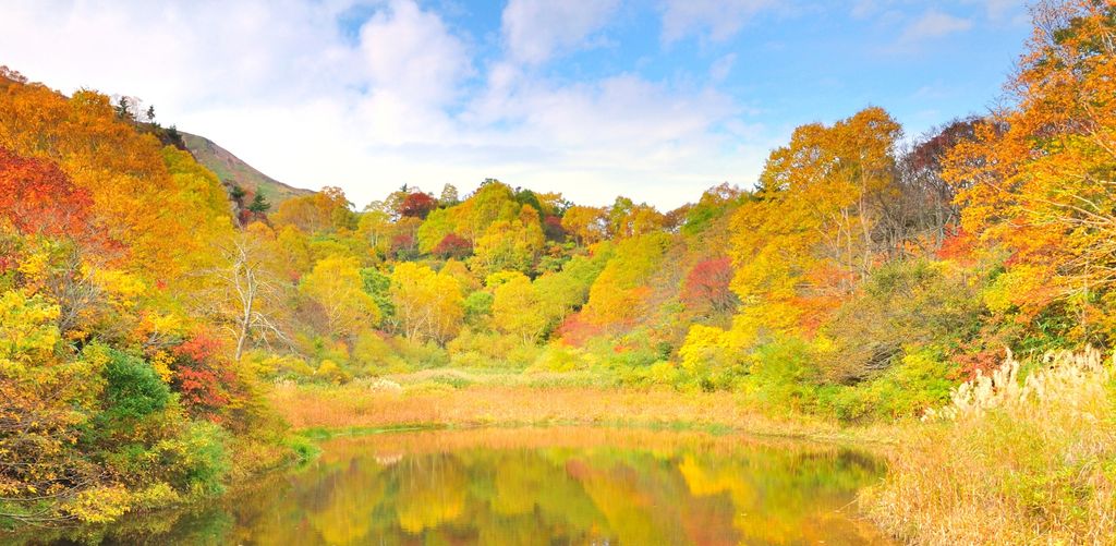 プロポーズ　場所　プロポーズプロデューサー　Zehitomo