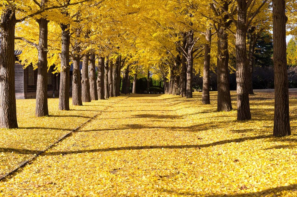 プロポーズ　場所　プロポーズプロデューサー　Zehitomo