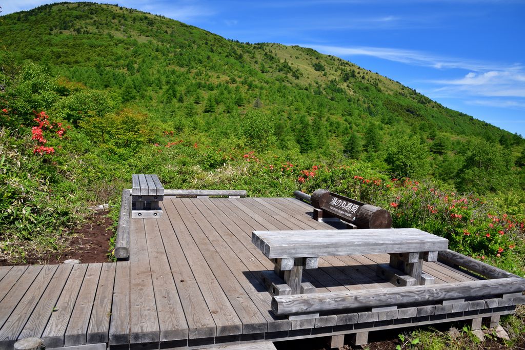 プロポーズ　場所　プロポーズプロデューサー　Zehitomo