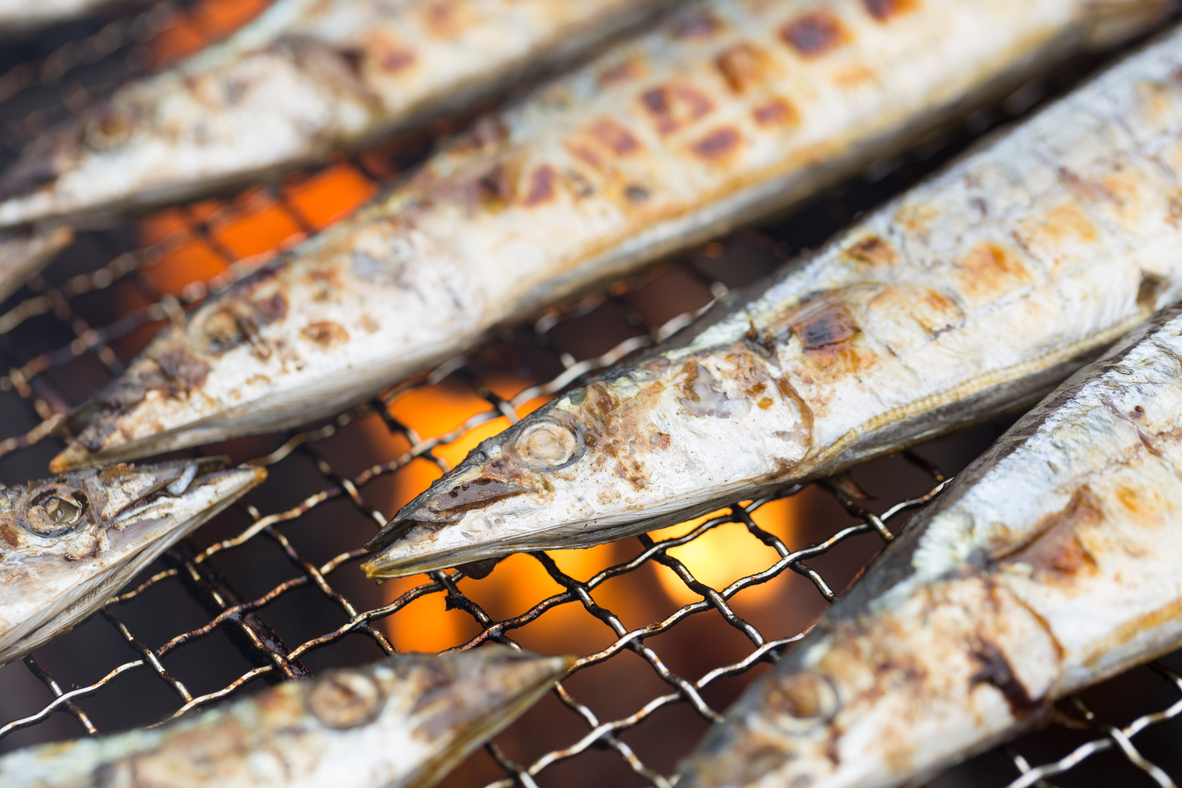 魚焼きグリルを掃除して料理を楽しむ 掃除の楽々4ステップ Zehitomo Journal