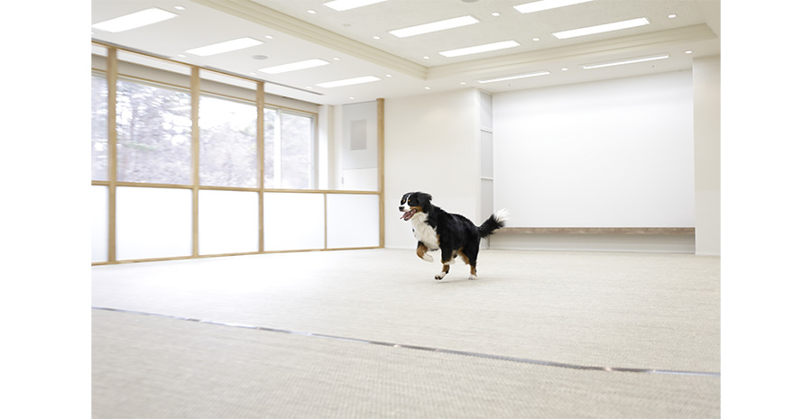 足腰に負担をかけず、安全に走り回ることができます