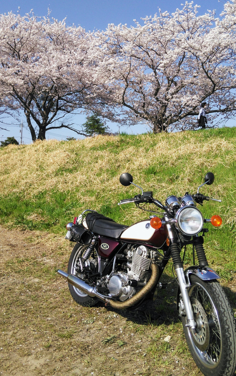のっちー33さんの投稿した愛車情報 Sr400 カスタム自慢 サーモバンテージ S バイク のカスタム ツーリング情報ならモトクル Motocle