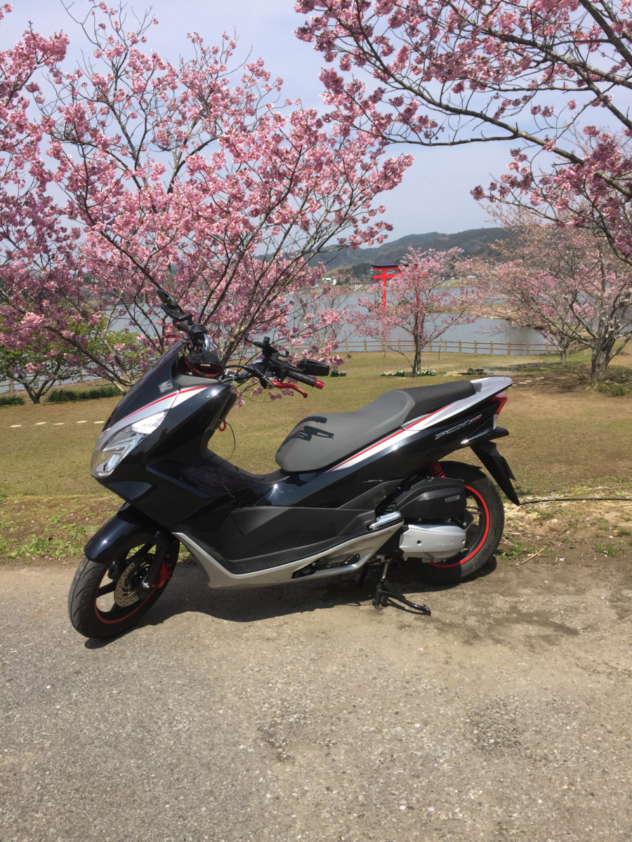 メビウスさんの投稿した愛車情報 Pcx150 亀山湖にて Pcx よく走ってくれる バイクのカスタム ツーリング情報ならモトクル Motocle