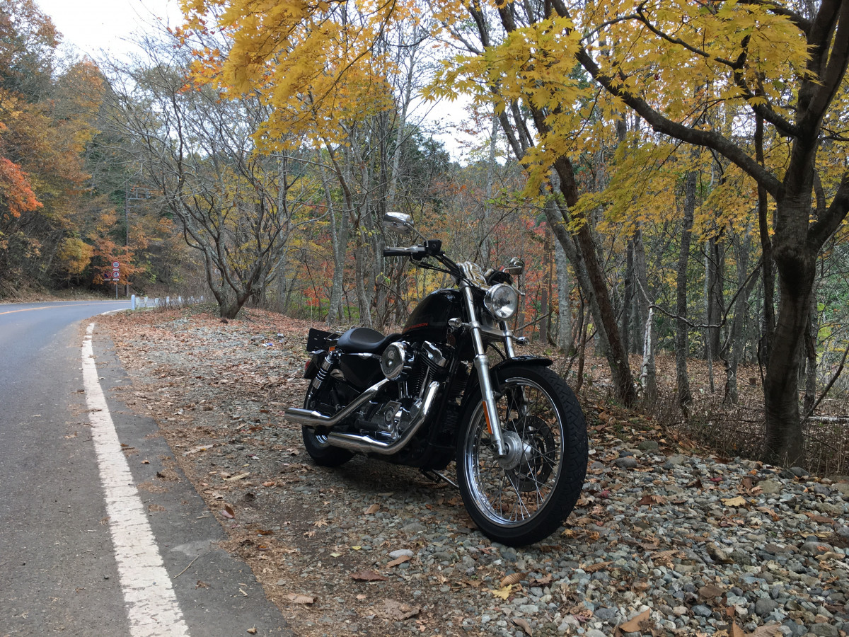 たかっちさんの投稿した愛車情報 Xl10c Custom 日塩もみじラインに行ってきました 綺麗 バイクのカスタム ツーリング情報ならモトクル Motocle