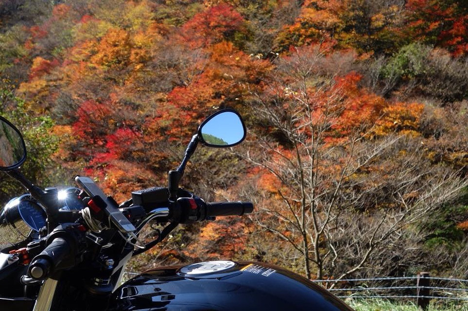 Mellow Riderさんが投稿したツーリング情報