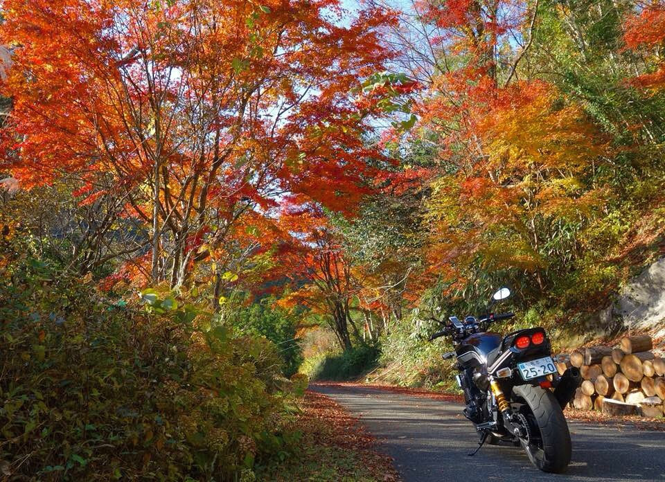 Mellow Riderさんが投稿したツーリング情報