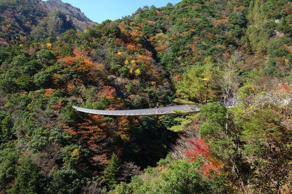 Mellow Riderさんが投稿したツーリング情報