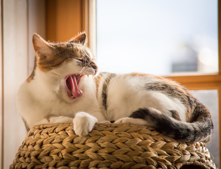 就活で疲れたら無理はするな 疲れとの上手な付き合い方 就活市場