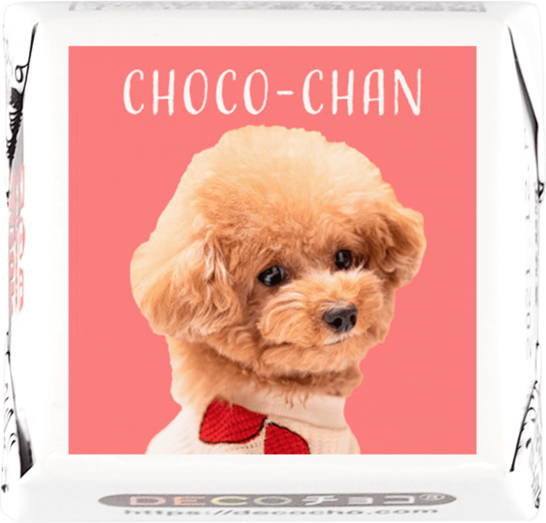 DECOチョコ15個セット ミルク味