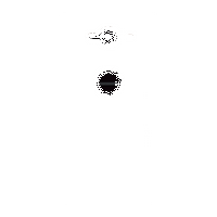 AQUOS ZETA (SH-01H)