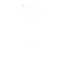 ARROWS SV (F-03H)