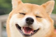 きゃ、きゃわゆい・・・!