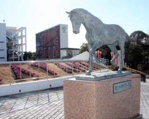 中山競馬場のハイセイコー像