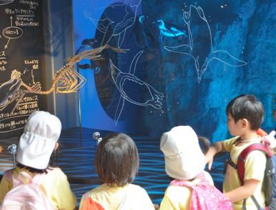 福井県立恐竜博物館とのコラボ企画。現生のペンギンと、ペンギンの生態に近いとされる古代生物の標本を見比べられる=2014年7月18日