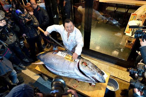 築地市場の初競りで1本451万円でマグロを競り落とした「すしざんまい」の経営会社の木村清社長＝2015年1月5日、東京都中央区、日吉健吾撮影
