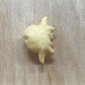 ざんねんじゃない!マンボウの世界