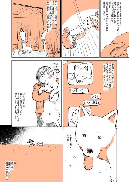 漫画「実家の犬が死んだ話」の8ページ目