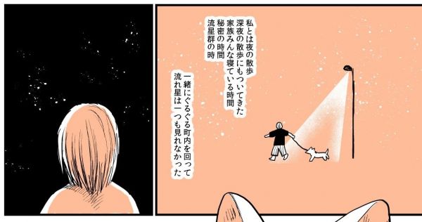 漫画「実家の犬が死んだ話」の一場面