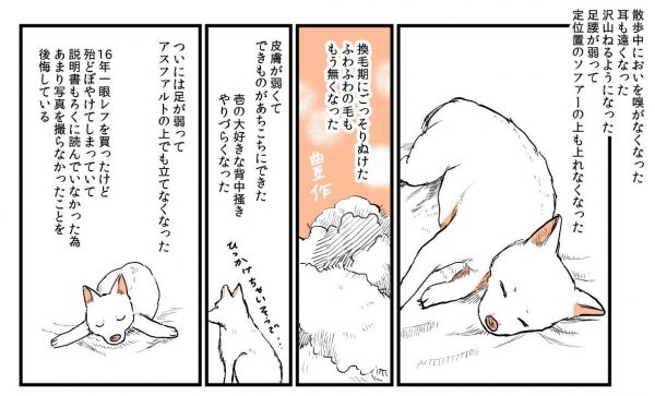 漫画「実家の犬が死んだ話」の一場面