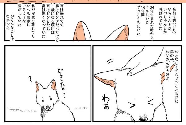 漫画「実家の犬が死んだ話」の一場面