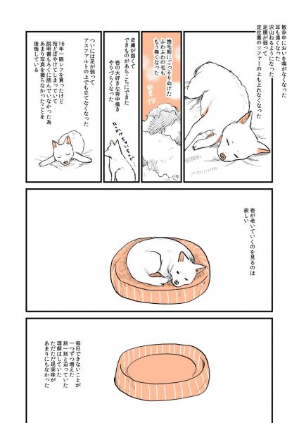 漫画「実家の犬が死んだ話」の4ページ目