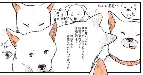 漫画「実家の犬が死んだ話」の一場面