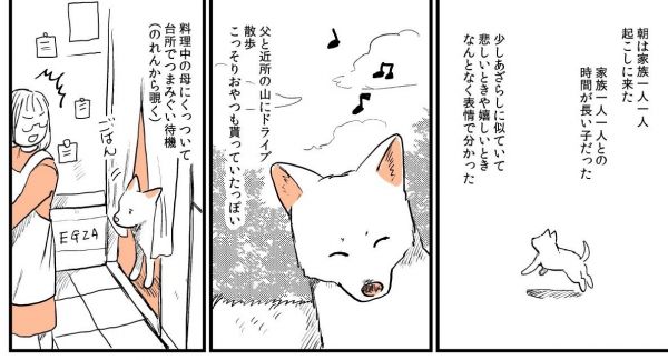 漫画「実家の犬が死んだ話」の一場面