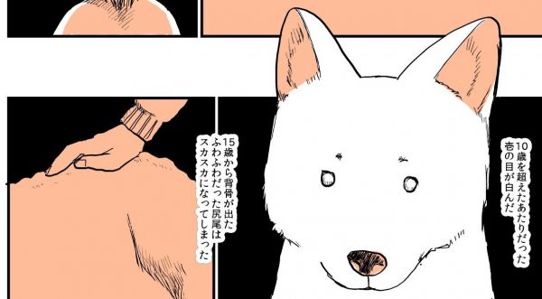 漫画「実家の犬が死んだ話」の一場面