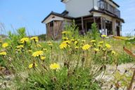 津波を逃れた「普通の人」の10年　少年が見せた「寂しそうな表情」