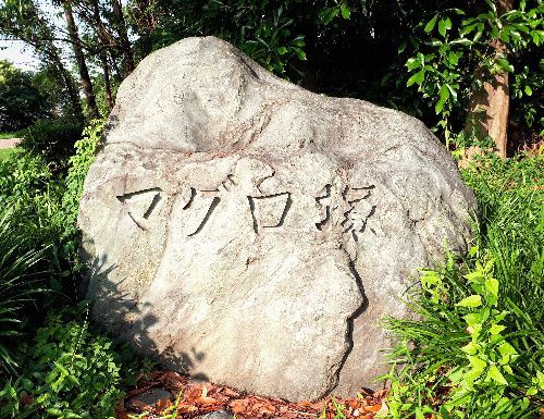 第五福竜丸展示館の広場にあるマグロ塚の石碑＝2018年6月24日、東京都江東区夢の島2丁目
