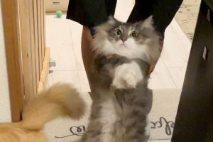 かわいい Withnews ウィズニュース 気になる話題やネタをフカボリ取材 ウニュ