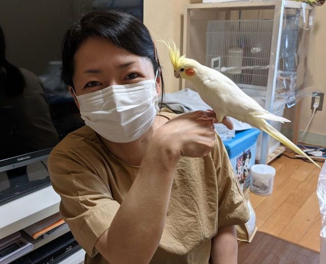 雪を保護した恵美さん