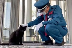 ウツボの思うつぼ ウツボがウツボの口に入って胃カメラ状態の動画