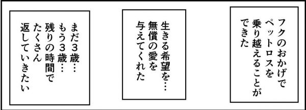 漫画「ペットロスを経て新しい家族を迎えた時の話」