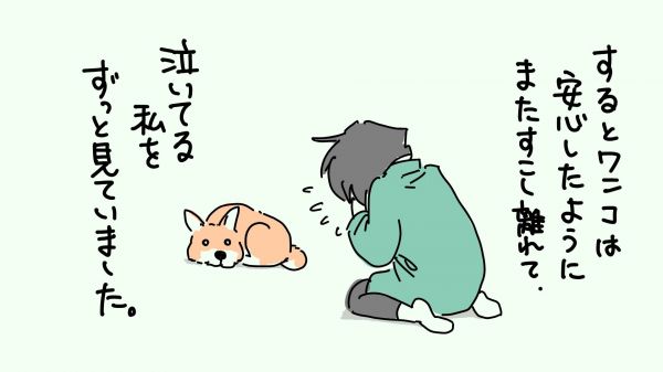 愛犬「ワンコ」との思い出を描いた漫画①