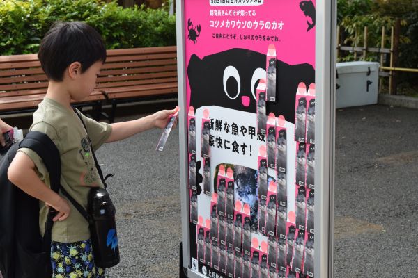 上野動物園では、コツメカワウソの生態を知ってもらおうと「世界カワウソの日」の31日まで「しおり」を配布しています