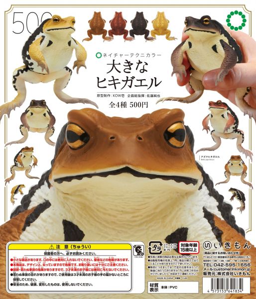 「大きなヒキガエル」のディスプレイポップ