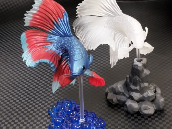 「奇奇奇シリーズ」の「闘魚〜ベタ〜」