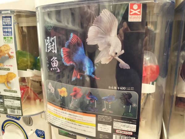 「奇奇奇シリーズ」の「闘魚〜ベタ〜」