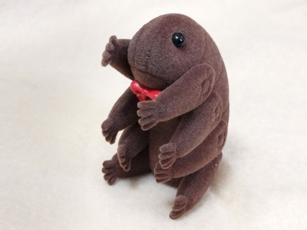 ケンエレファントの「テディなクマムシ」