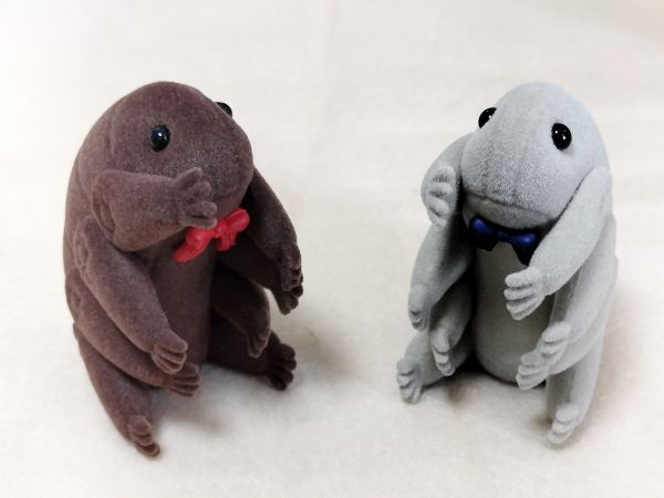 ケンエレファントの「テディなクマムシ」