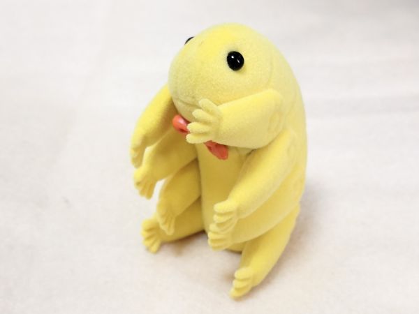 ケンエレファントの「テディなクマムシ」