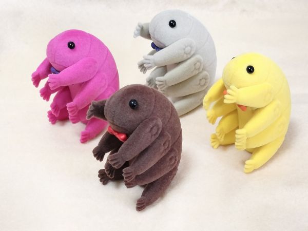 ケンエレファントの「テディなクマムシ」